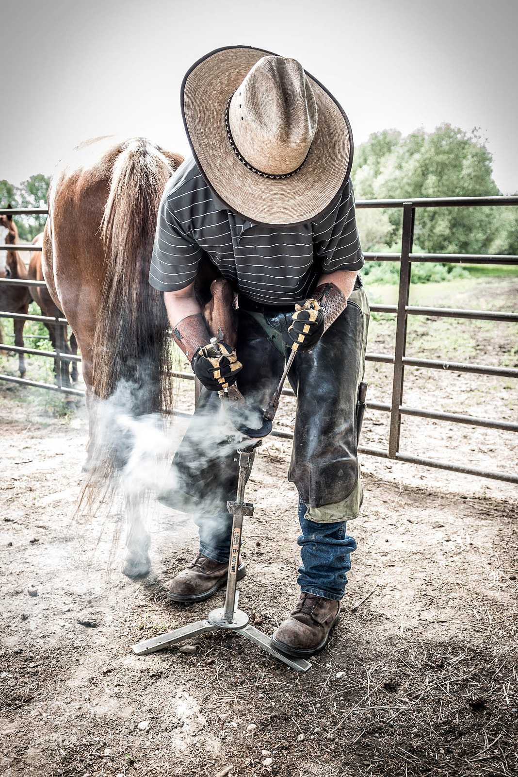 Nikon D800 sample photo. Ferrier environmental portrait photography