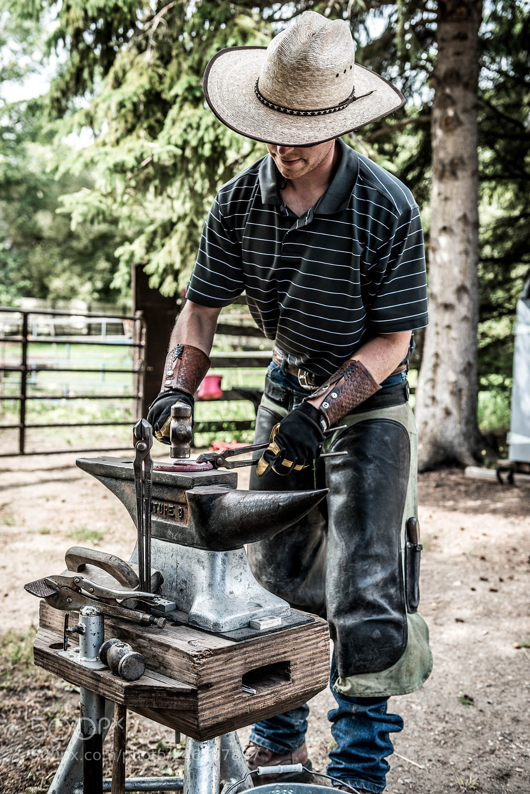 Nikon D800 sample photo. Ferrier environmental portrait photography