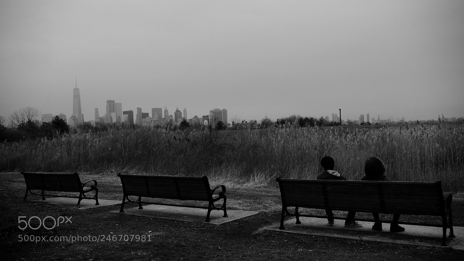 Fujifilm X-T1 sample photo. Liberty state park photography