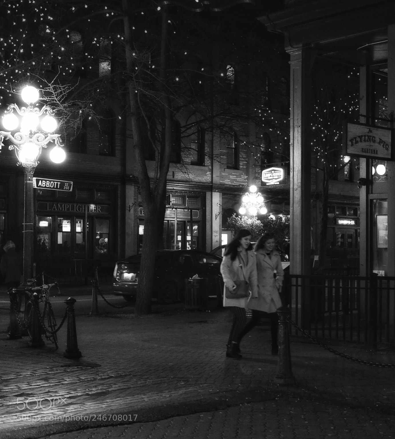 Olympus OM-D E-M5 II sample photo. Siameses photography