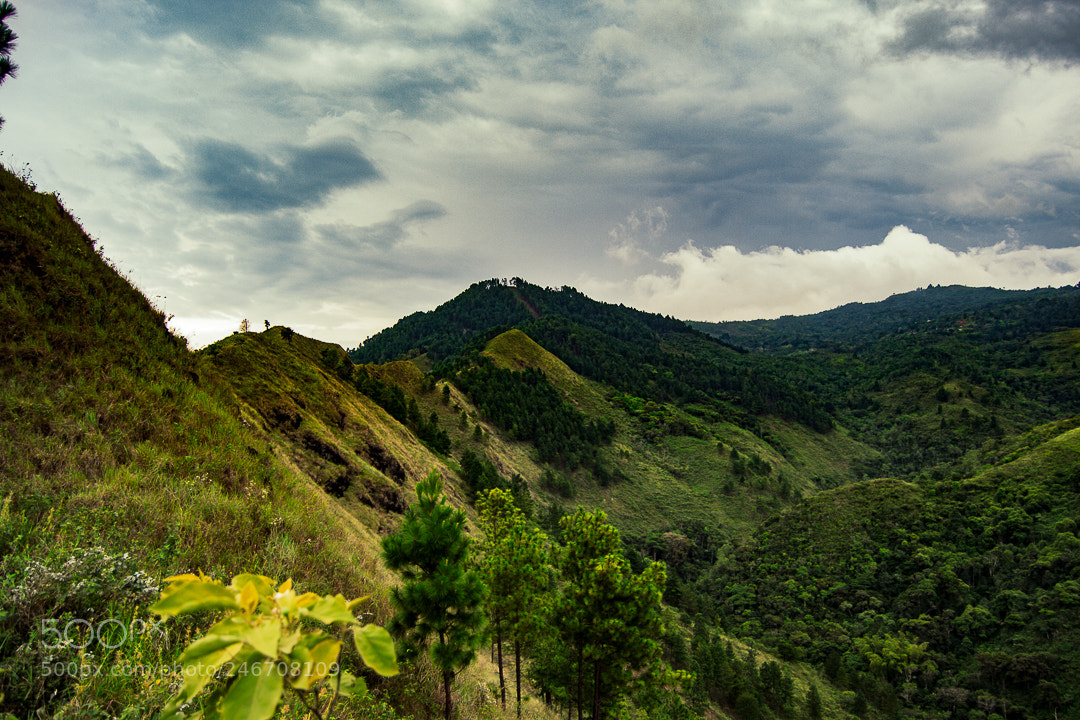 Nikon D3100 sample photo. Untitled photography
