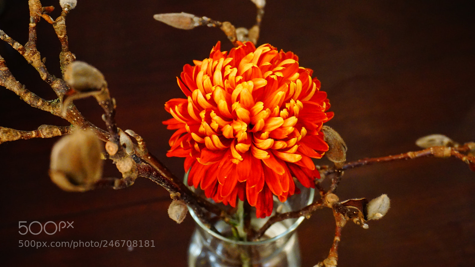 Sony a6000 + Sony E 18-50mm F4-5.6 sample photo. Flower photography