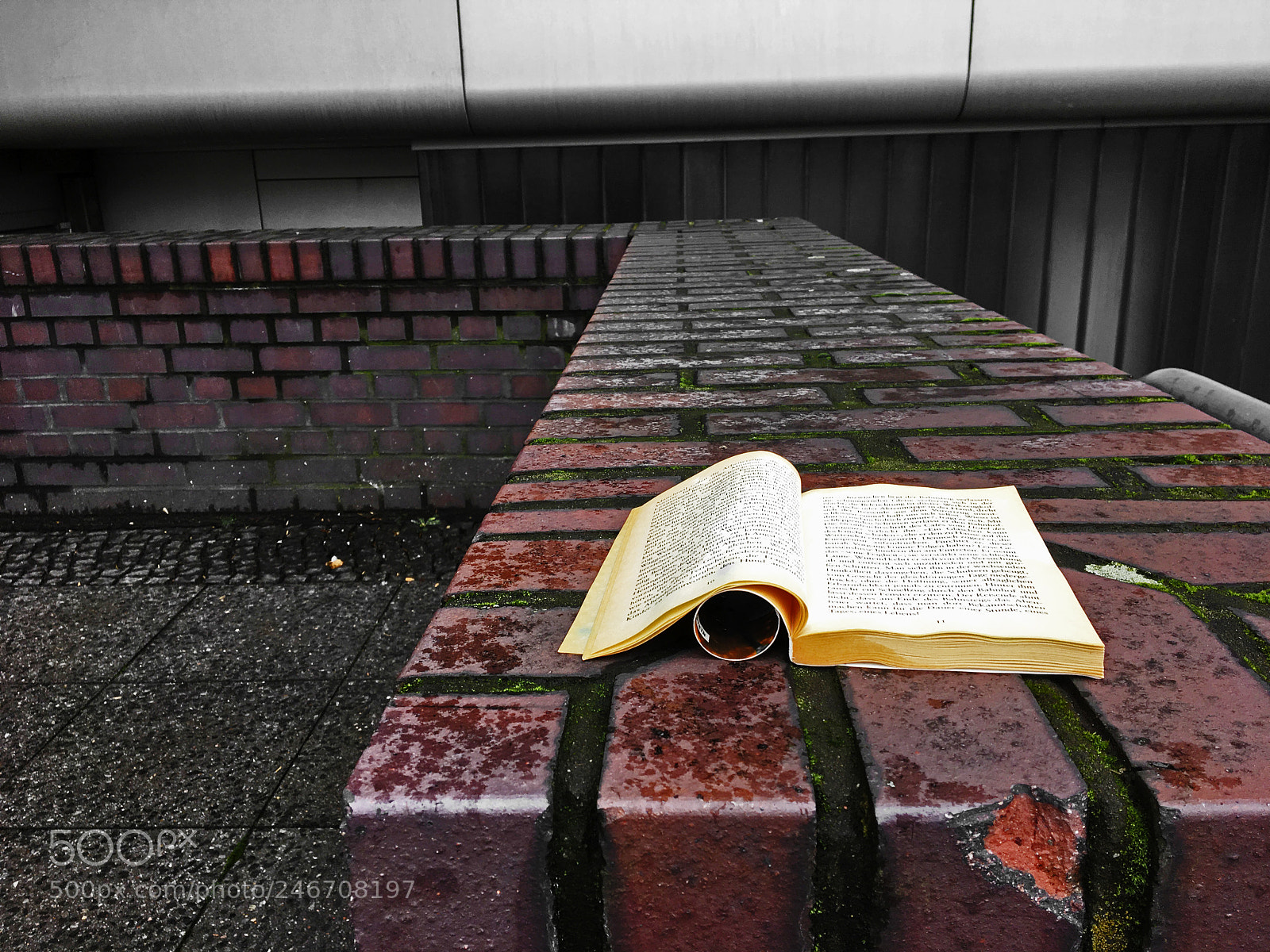 Apple iPhone 6s sample photo. Book photography
