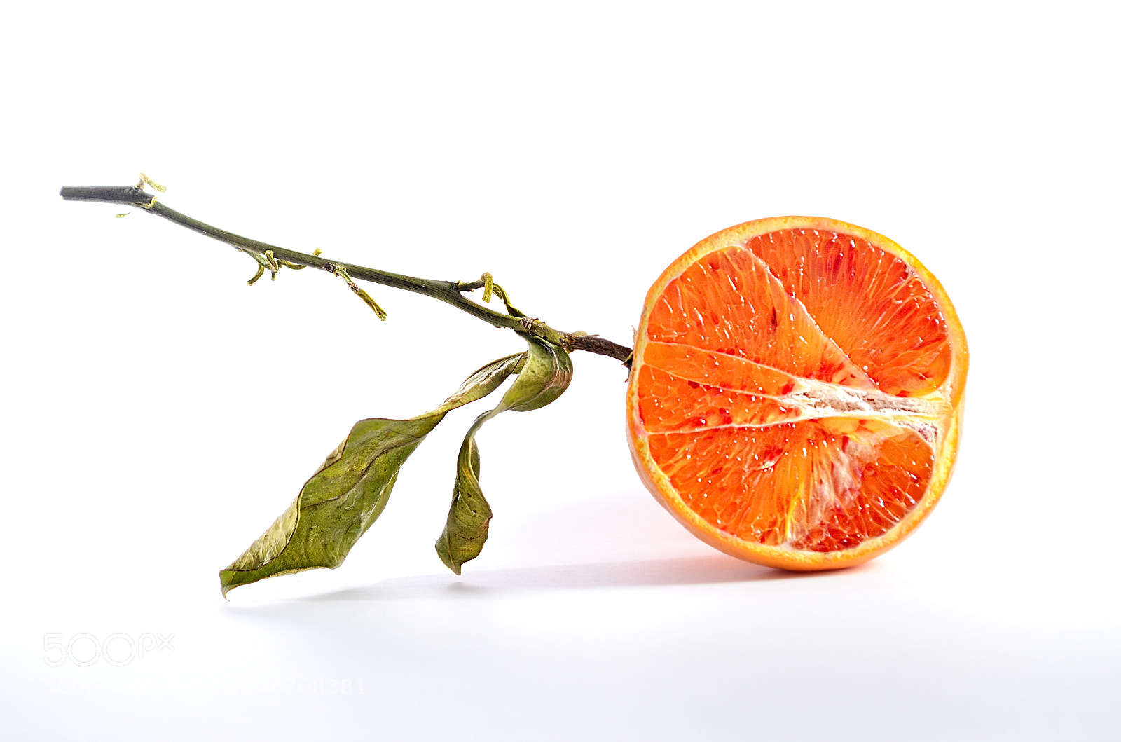 Nikon D5100 sample photo. Orange fruit photography