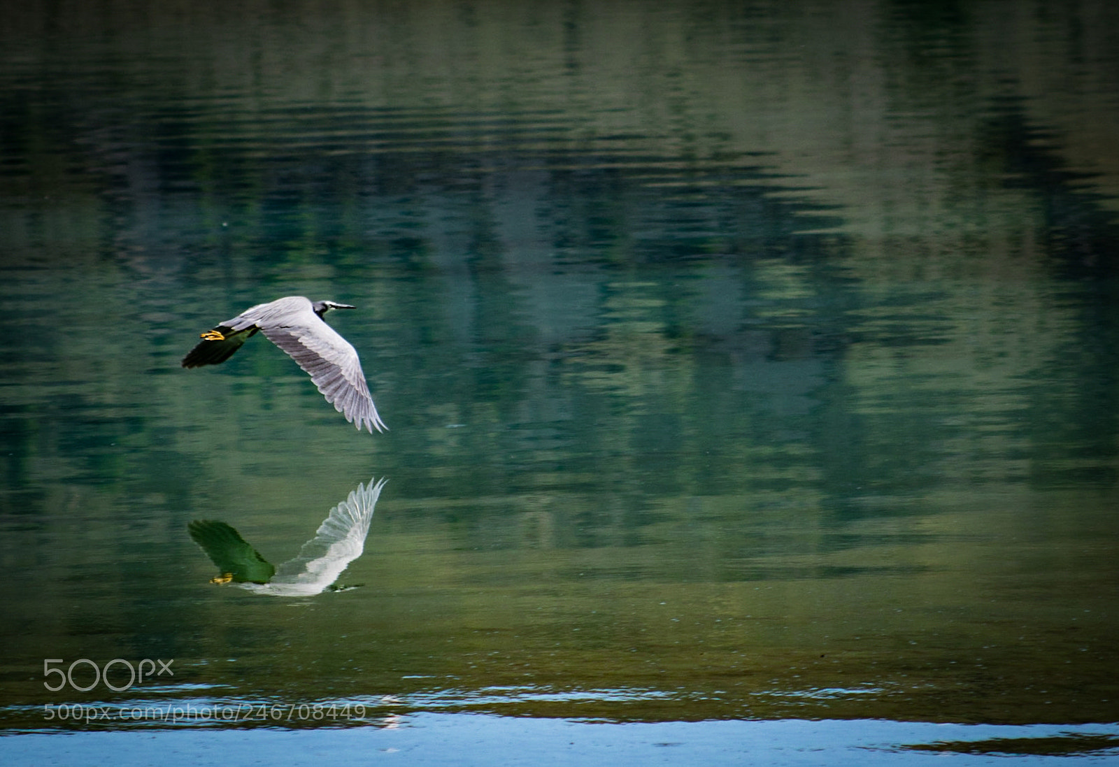 Canon EOS 750D (EOS Rebel T6i / EOS Kiss X8i) sample photo. Soaring reflections photography