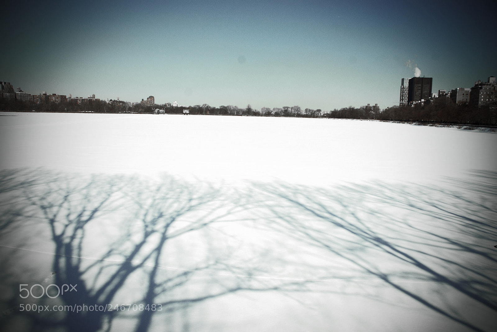 Sony Alpha DSLR-A100 sample photo. Central park in winter photography