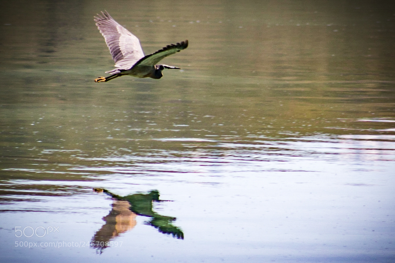 Canon EOS 750D (EOS Rebel T6i / EOS Kiss X8i) sample photo. Swooping reflections photography
