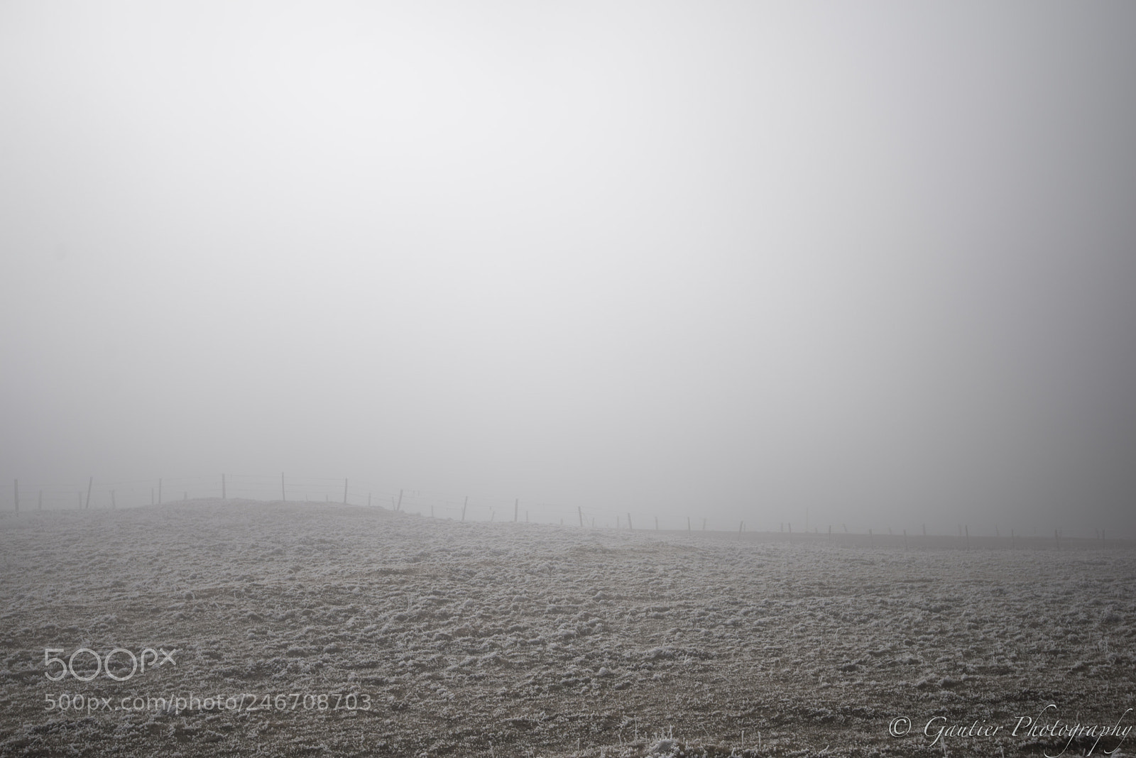 Nikon D610 sample photo. Saleve photography