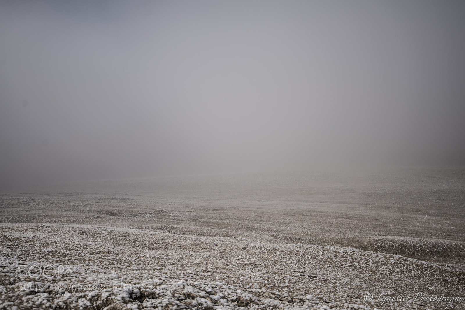 Nikon D610 sample photo. Saleve photography