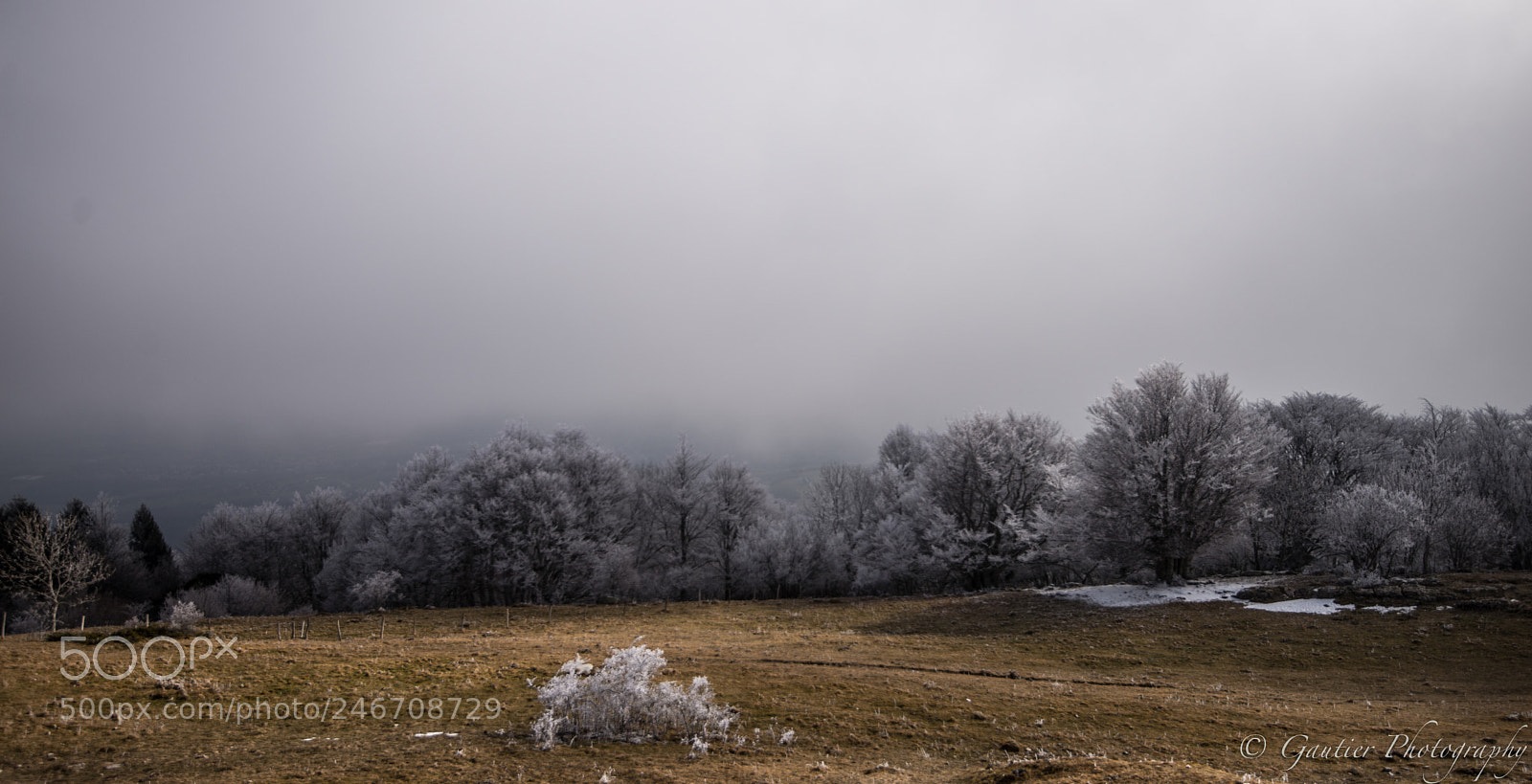 Nikon D610 sample photo. Saleve photography