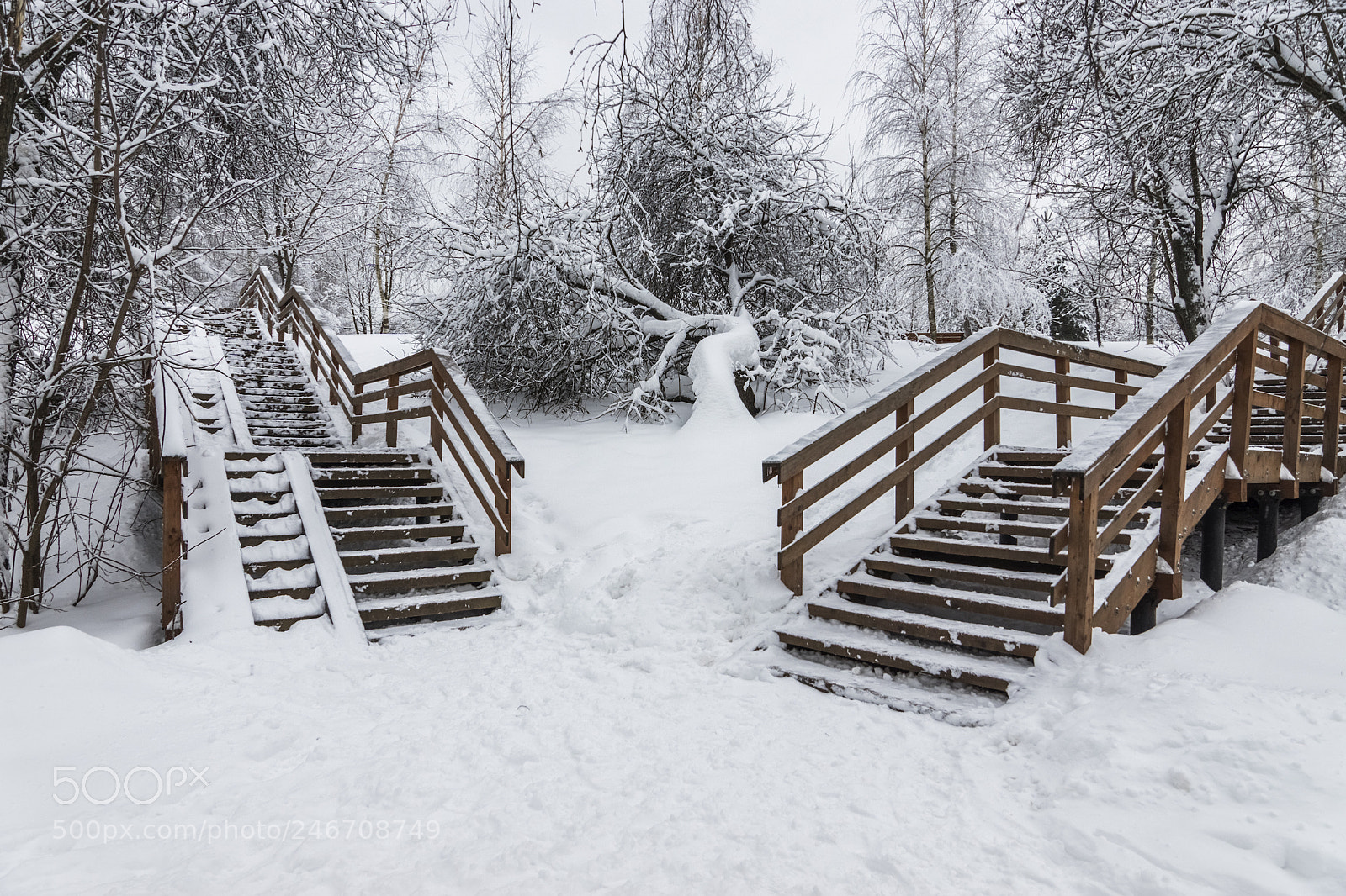Sony ILCA-77M2 sample photo. Another winter day photography