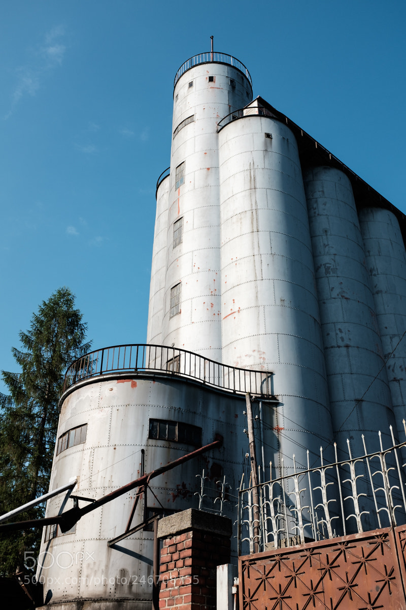 Fujifilm X100T sample photo. Vertical submarine photography