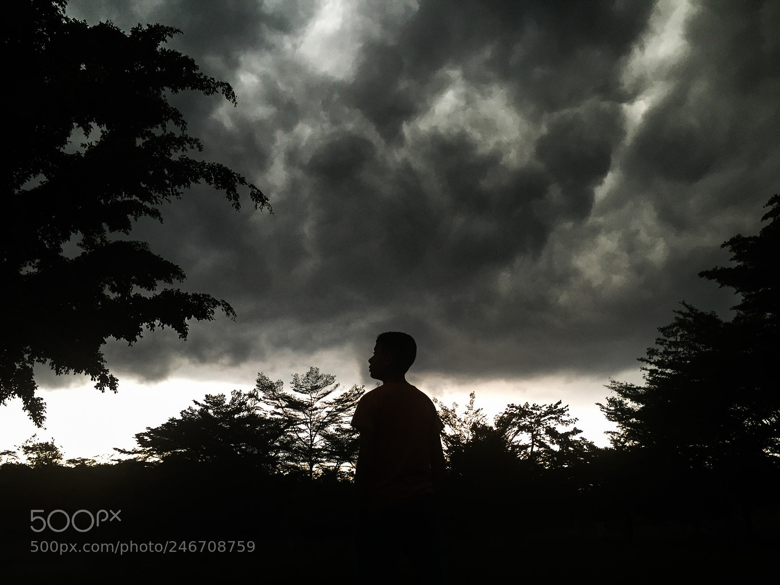Apple iPhone 6 sample photo. A storm is coming photography