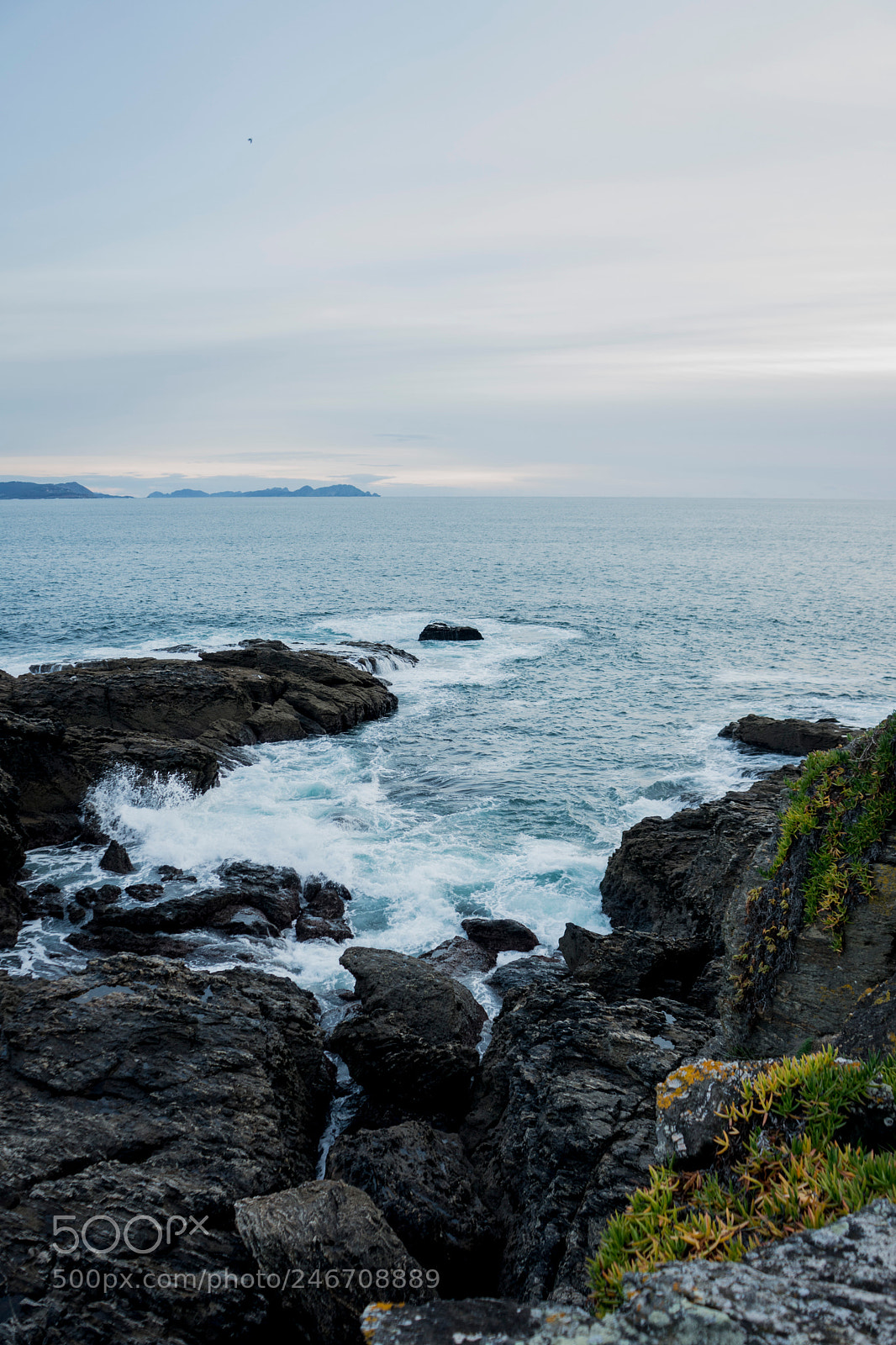 Sony a7 II sample photo. Paxariñas photography