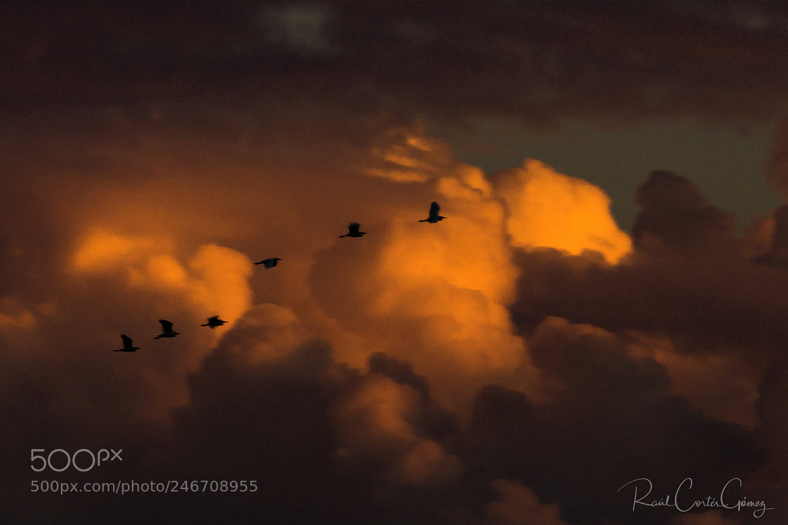 Nikon D7100 sample photo. Nubes de fuego photography