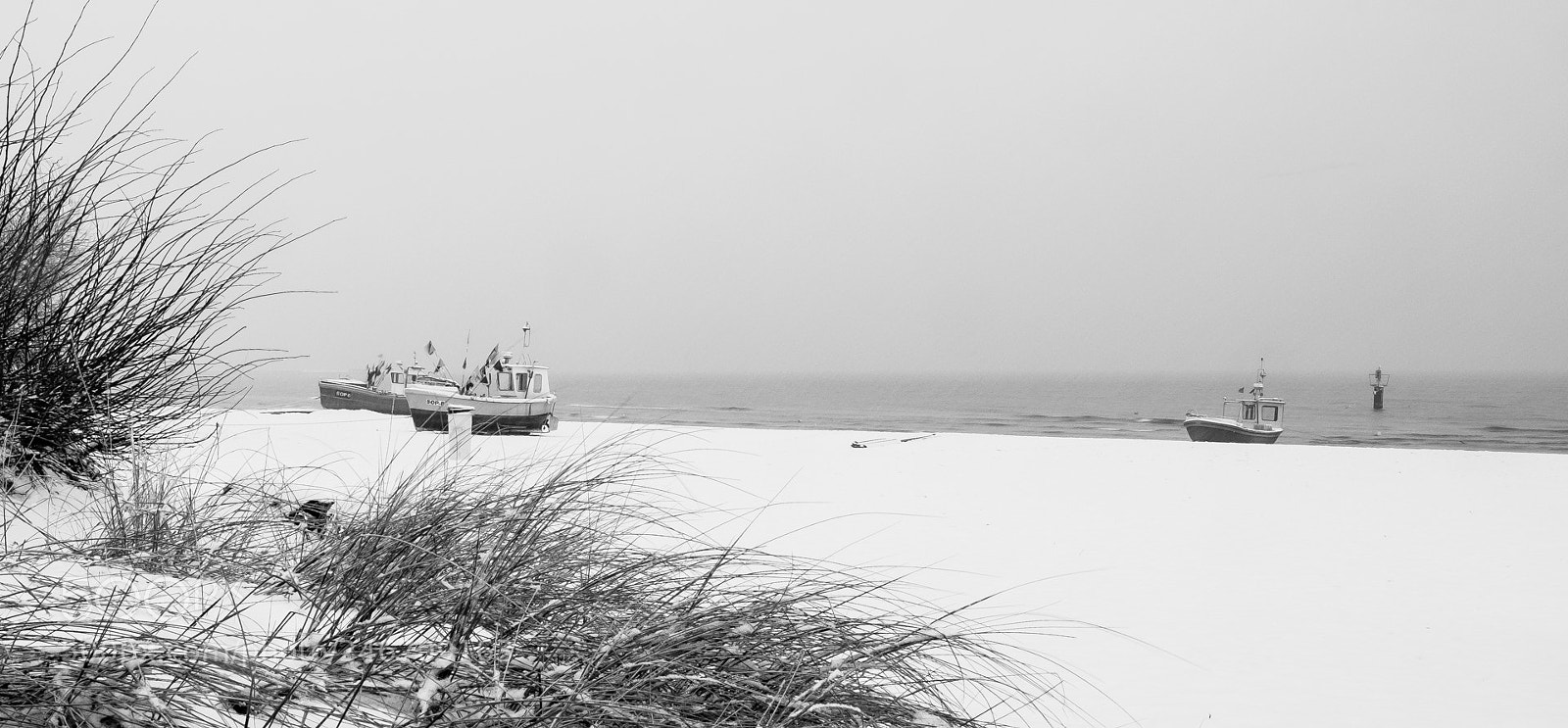 Fujifilm X-T10 sample photo. Winter fleet photography