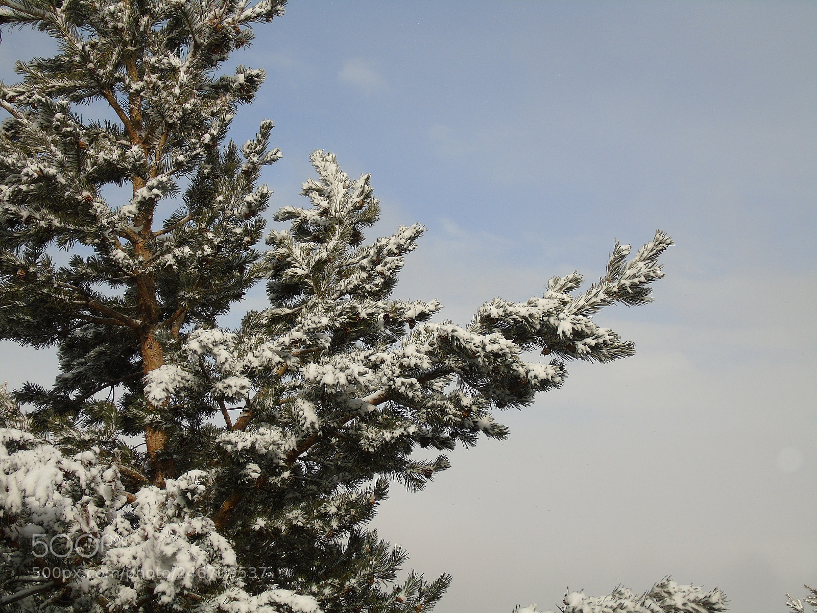 Sony Cyber-shot DSC-H400 sample photo. Nieve photography
