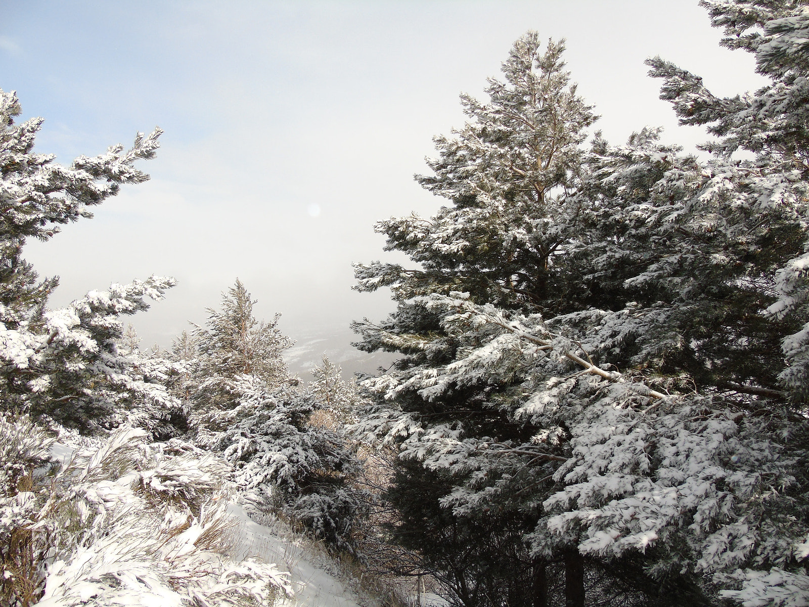 Sony Cyber-shot DSC-H400 sample photo. Más nieve photography