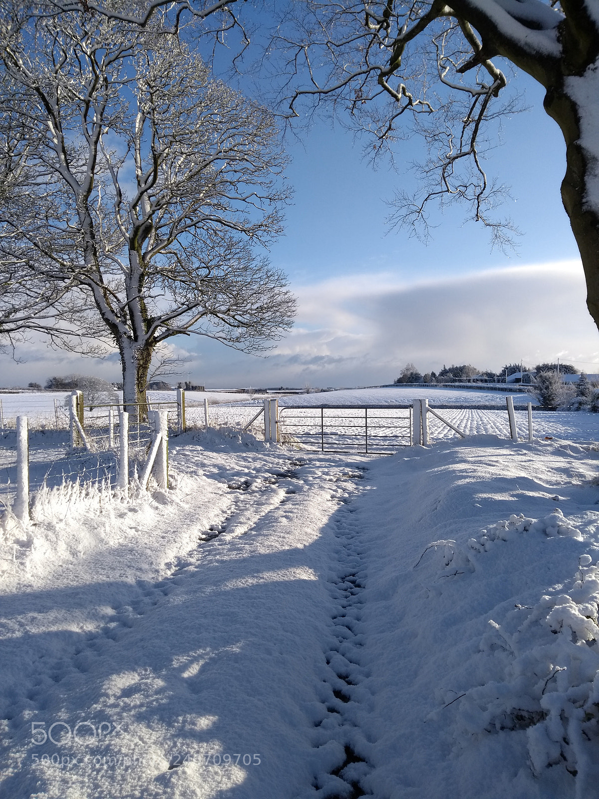 Motorola Moto G (5th Gen) sample photo. Rural snow landscape photography