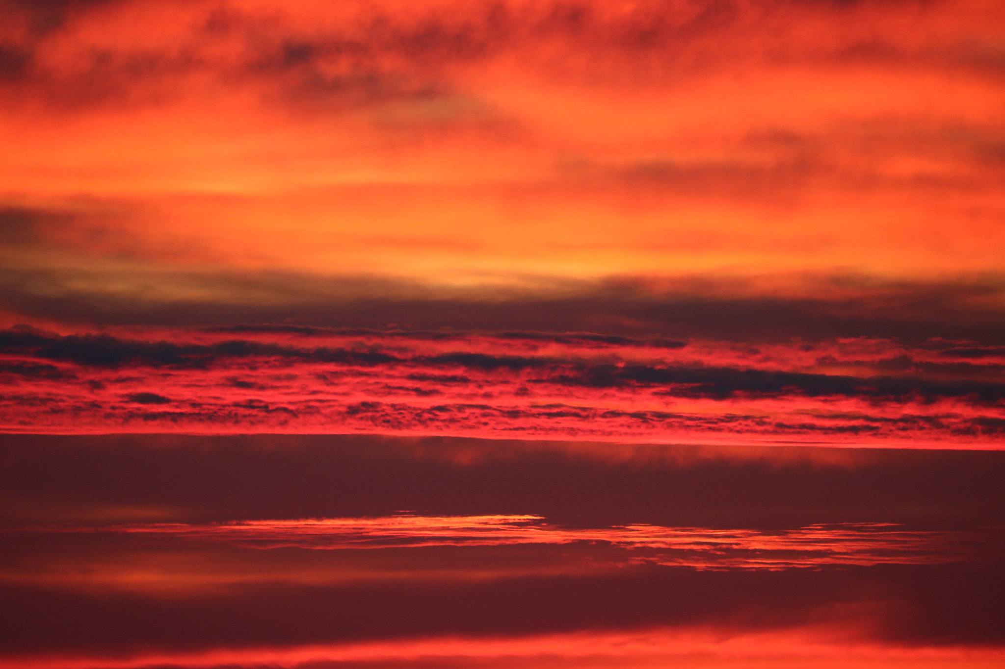 Canon EF-S 55-250mm F4-5.6 IS STM sample photo. The dawn photography