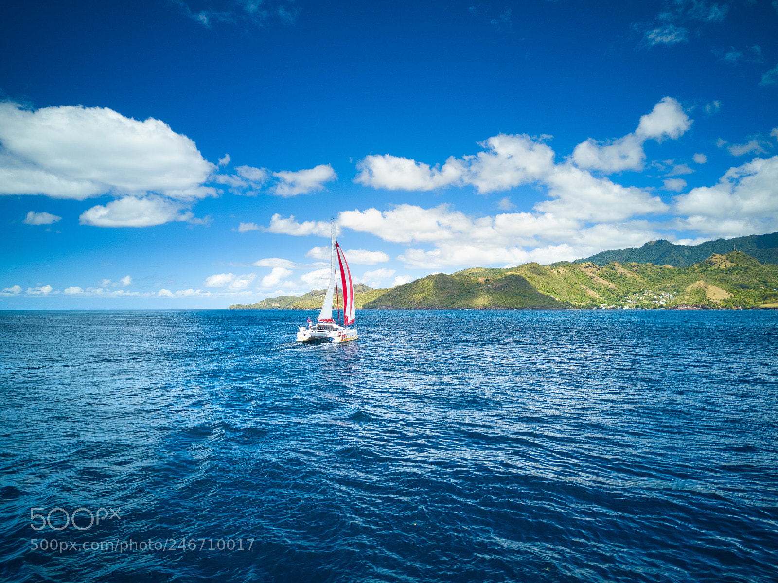 DJI FC220 sample photo. Sailing photography