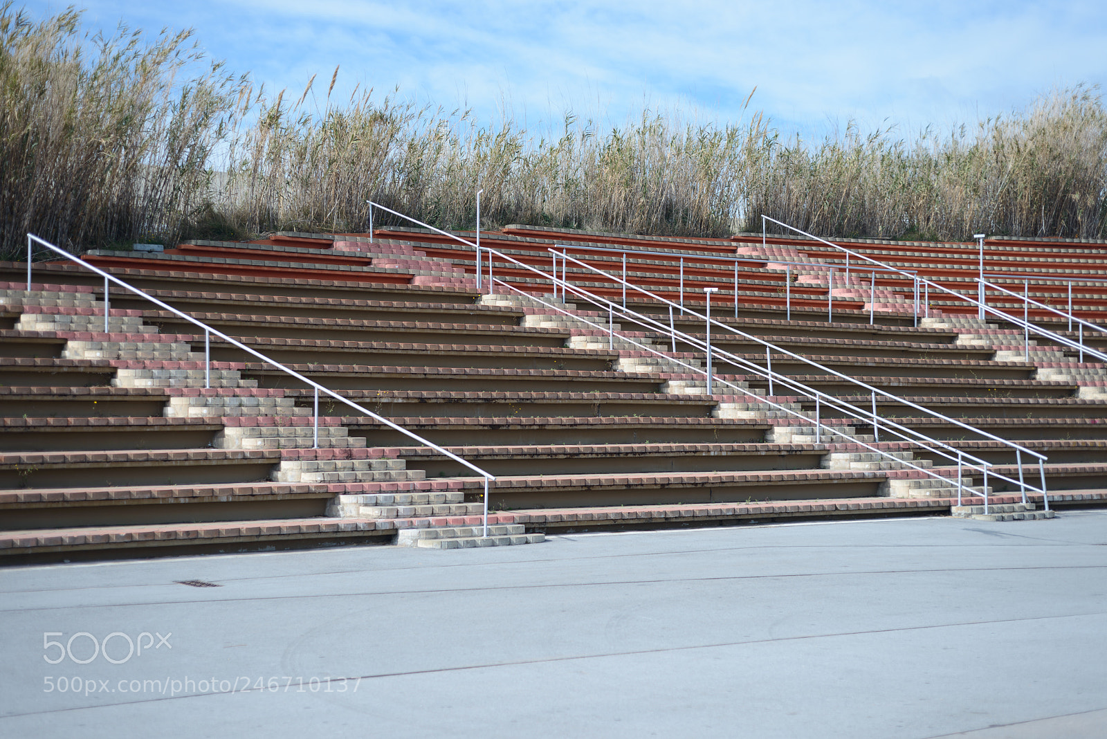 Nikon D800 sample photo. Paz photography