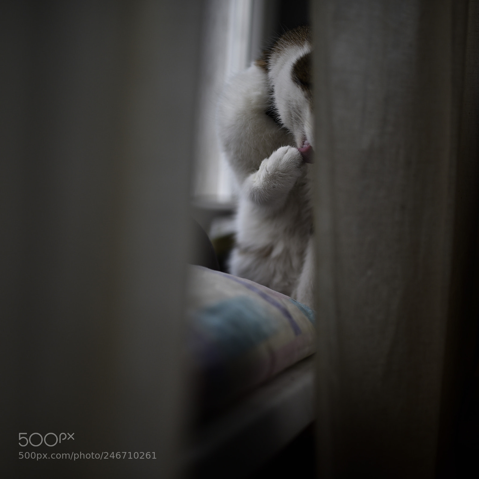 Sigma 35mm F1.4 DG HSM Art sample photo. Dsc photography
