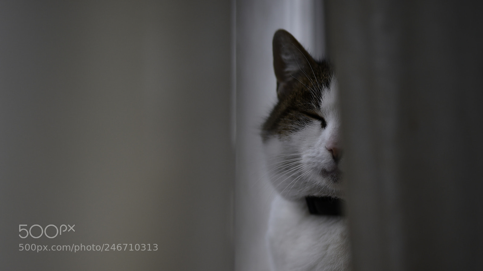 Sigma 35mm F1.4 DG HSM Art sample photo. Dsc photography