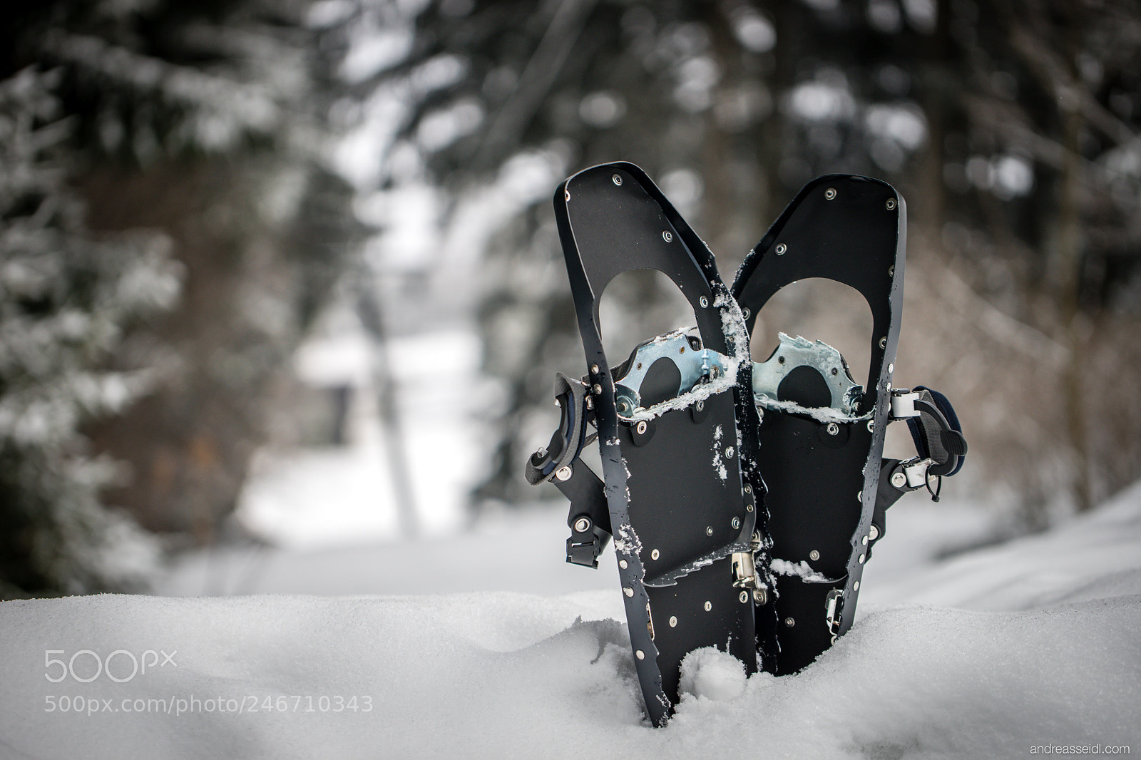 Sony a7 sample photo. Schneeschuhe photography