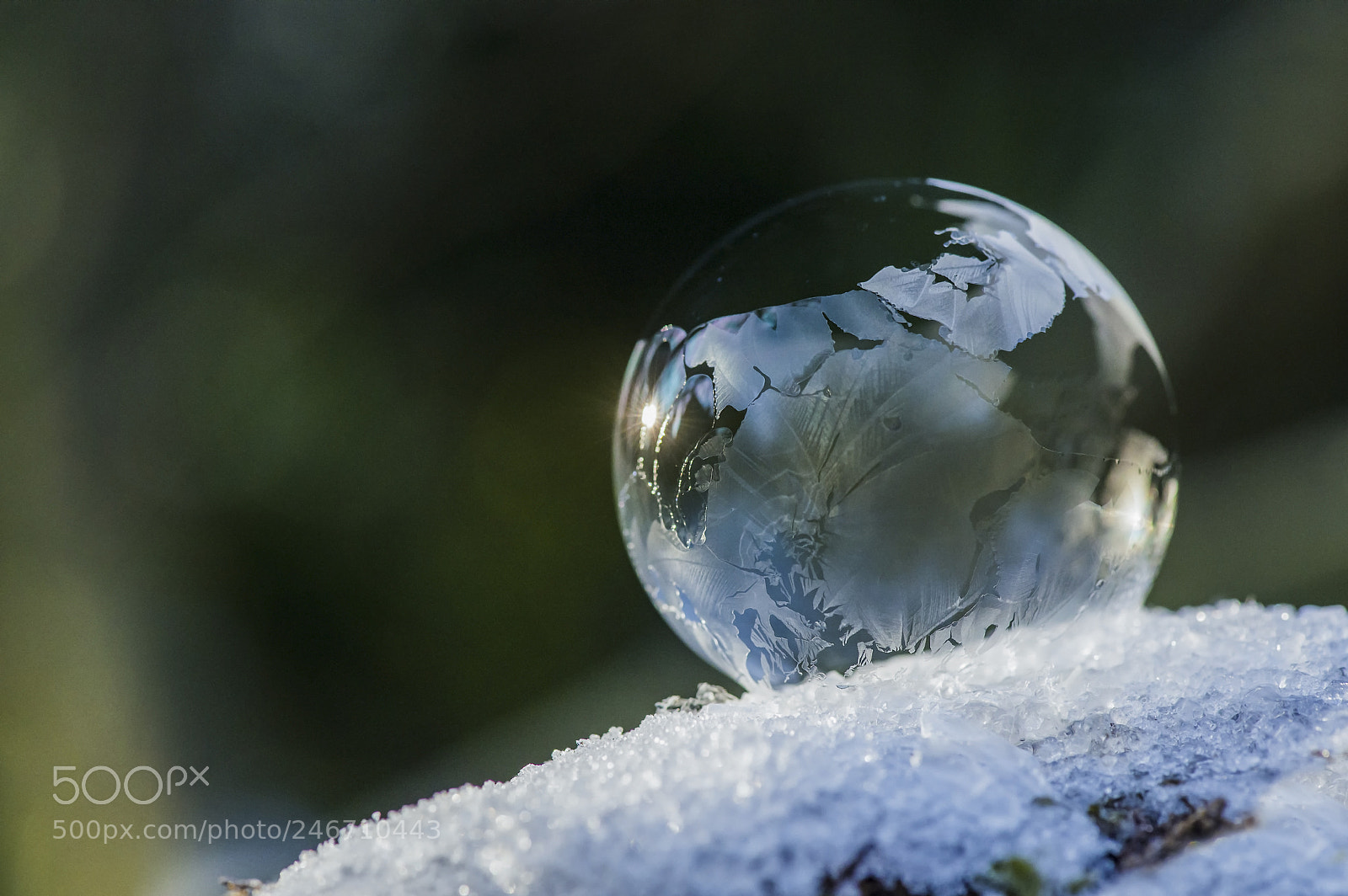 Nikon D800 sample photo. Fragile soap bubble photography