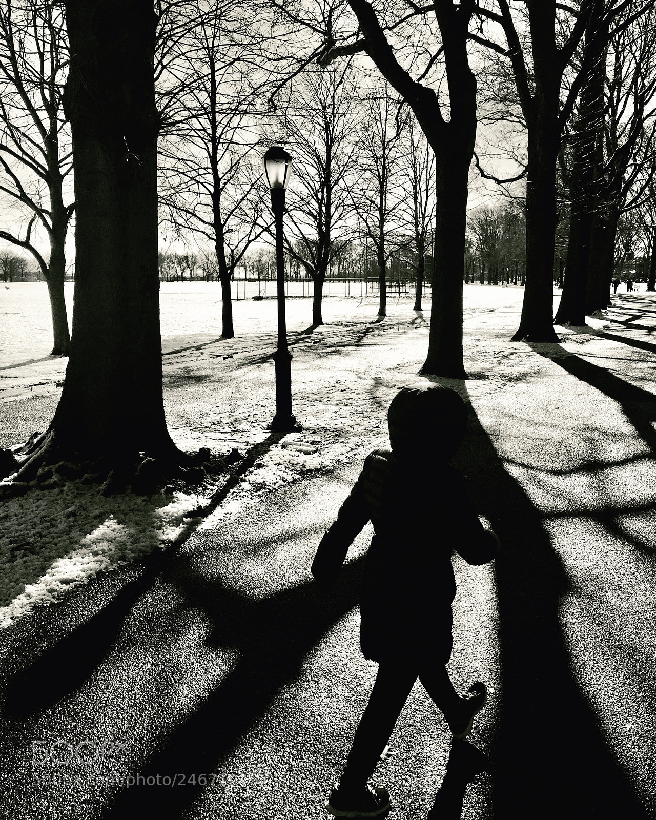 Apple iPhone 6 Plus sample photo. “park walker” photography