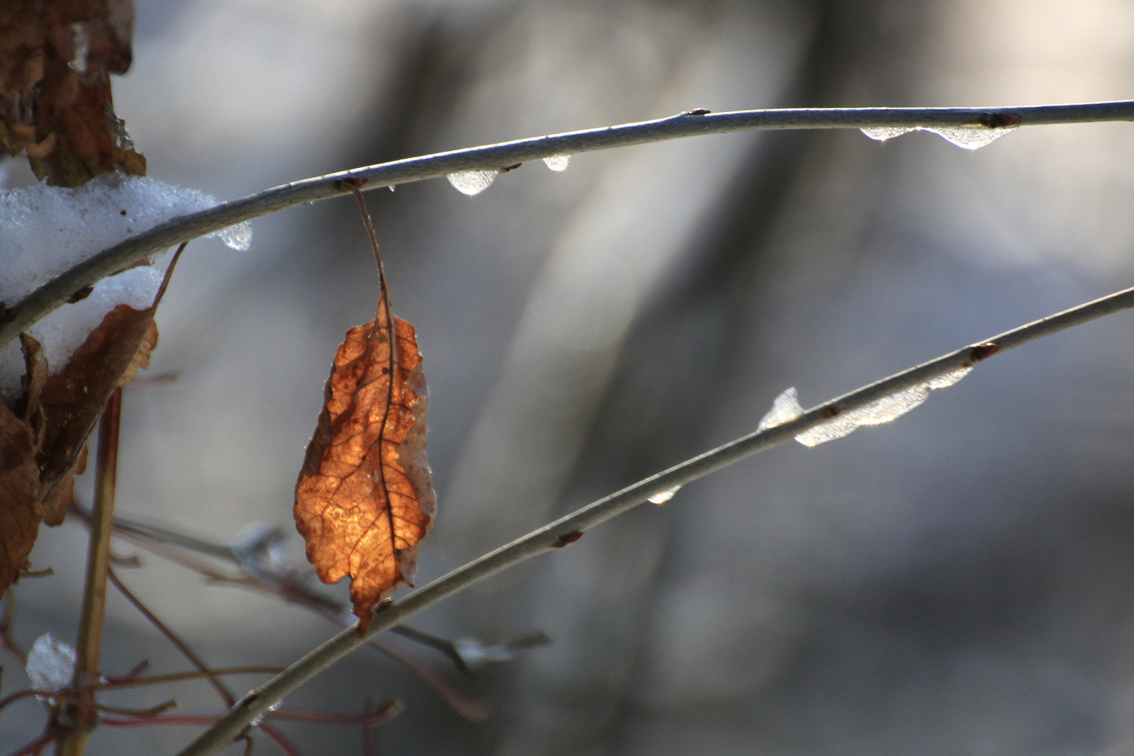 Tamron SP 35mm F1.8 Di VC USD sample photo. Img photography