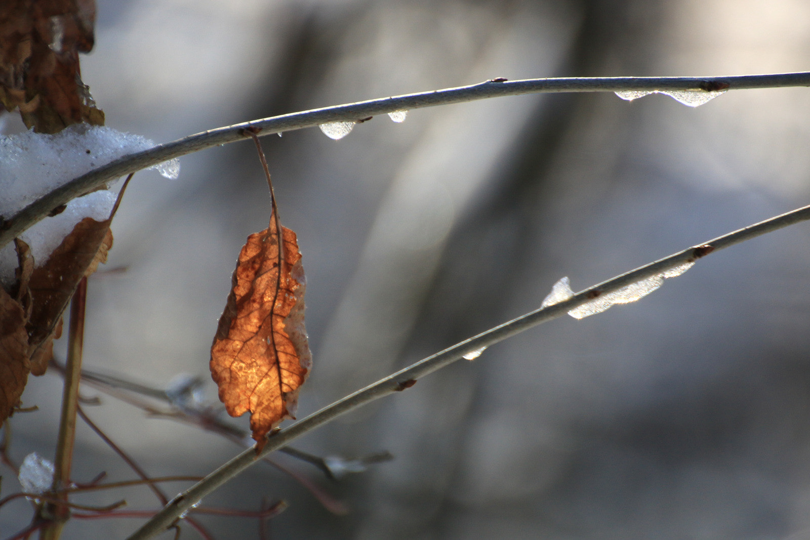 Canon EOS 70D + Tamron SP 35mm F1.8 Di VC USD sample photo. Img photography