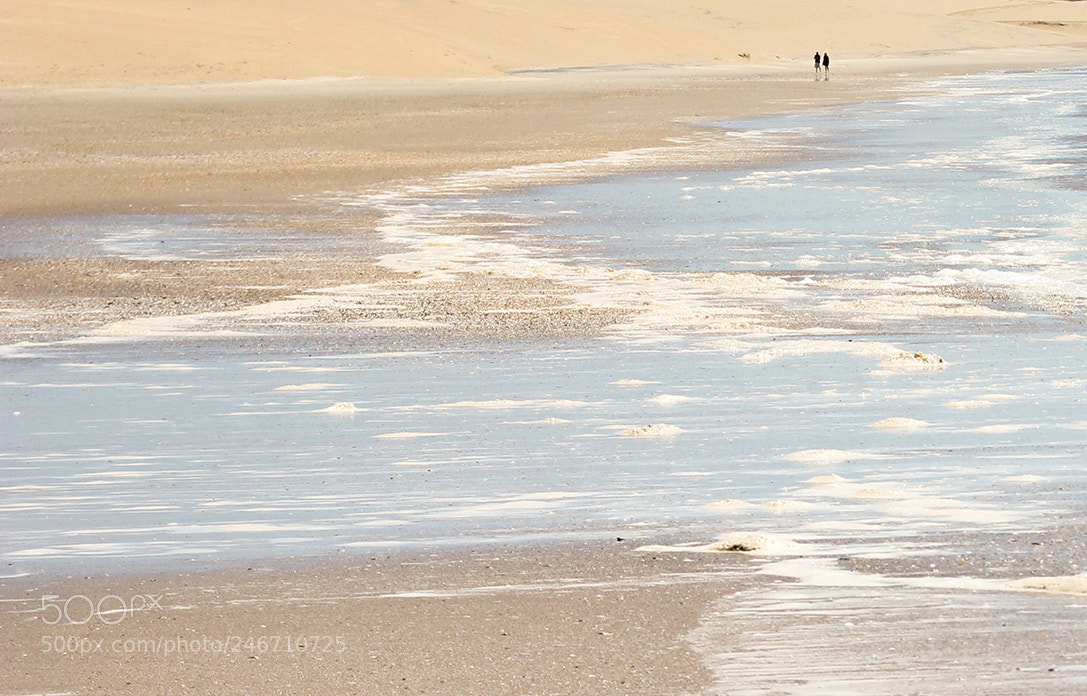 Canon EOS 550D (EOS Rebel T2i / EOS Kiss X4) sample photo. Cabo polonio · uruguay photography