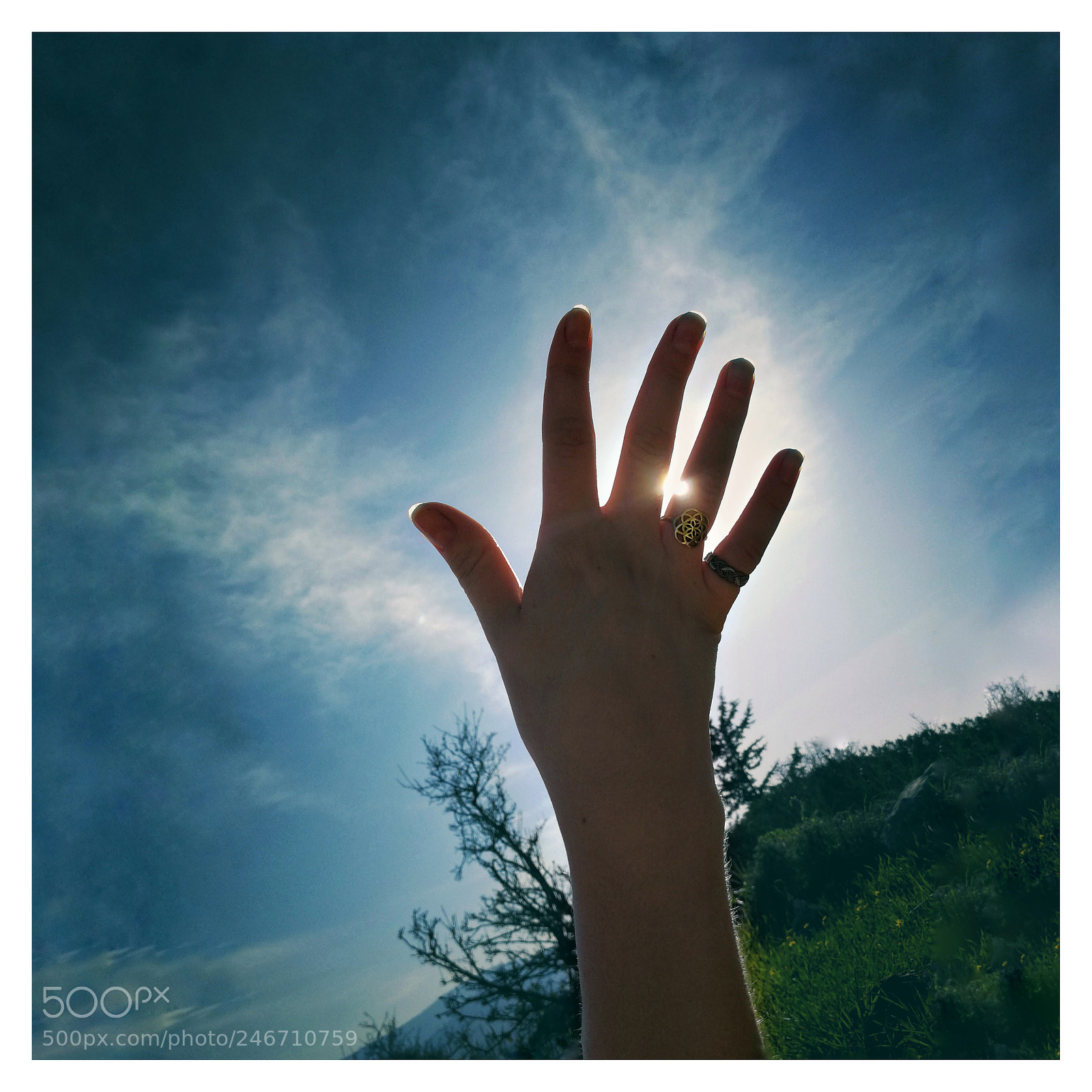 HUAWEI P10 sample photo. Hand photography