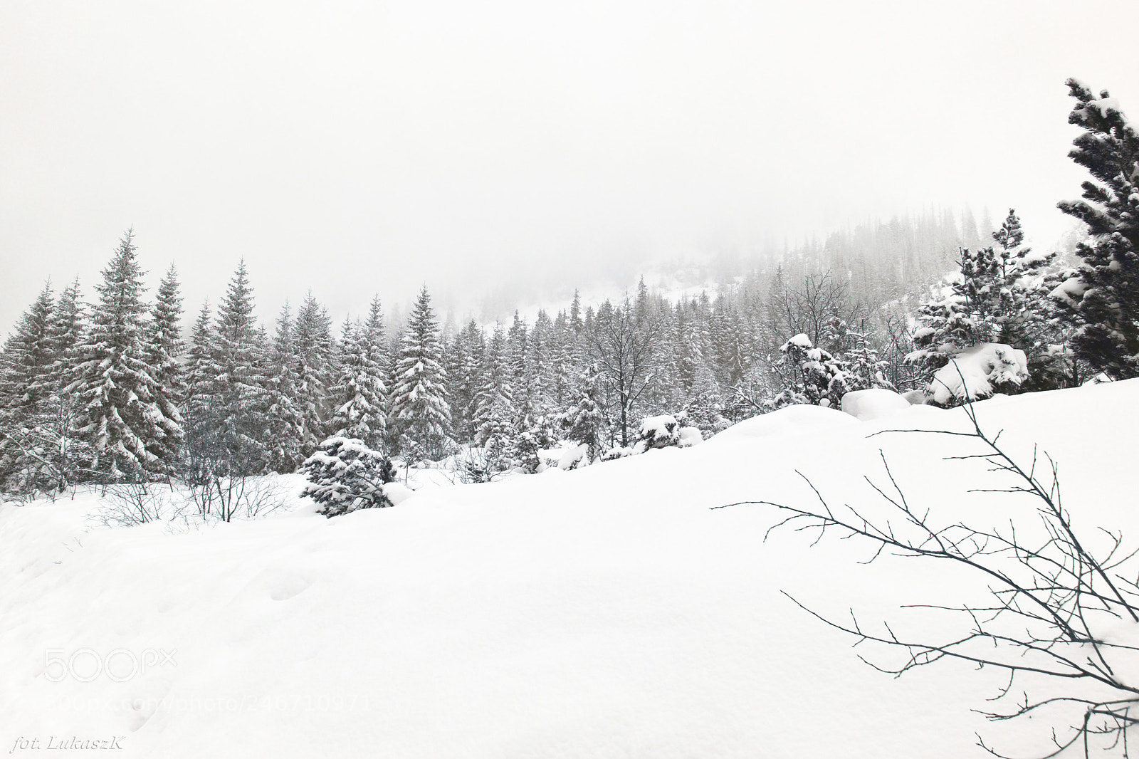 Nikon D7200 sample photo. Tatry - zimą photography