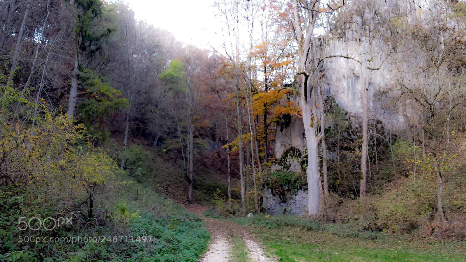 Samsung Galaxy S4 sample photo. Autumn colours photography