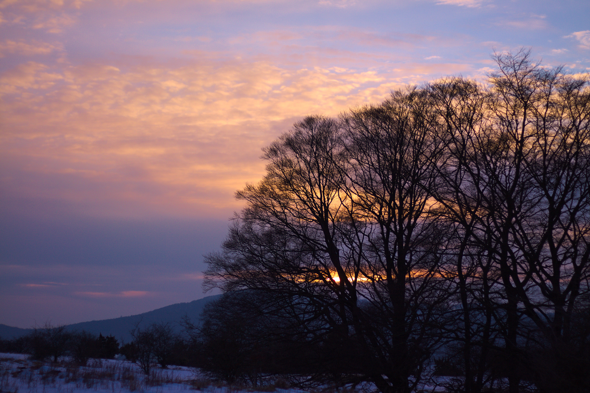 Canon EOS 50D sample photo. Sunset photography