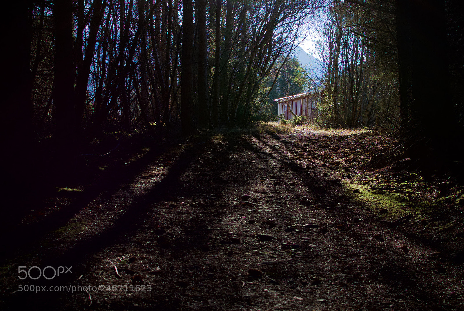 Nikon D7200 sample photo. (secret spot) photography