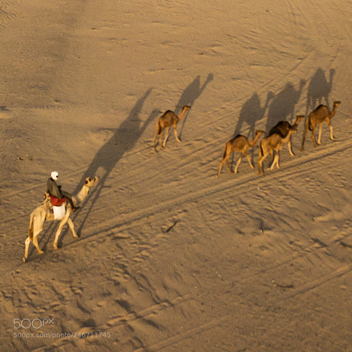 DJI FC220 sample photo. Untitled photography
