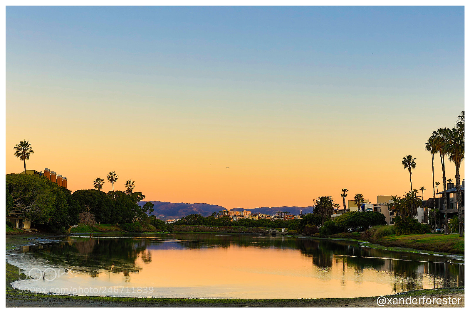 Canon EOS 5DS R sample photo. Hidden in plain sight. photography