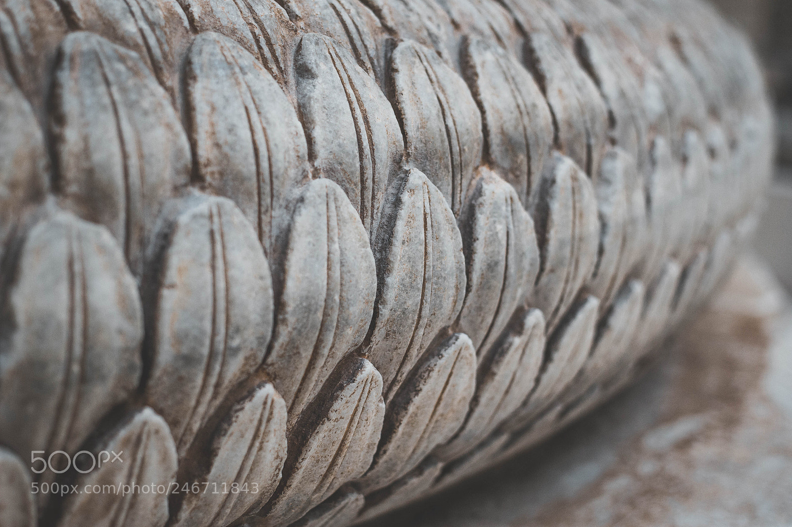 Canon EOS 60D sample photo. Untitled photography