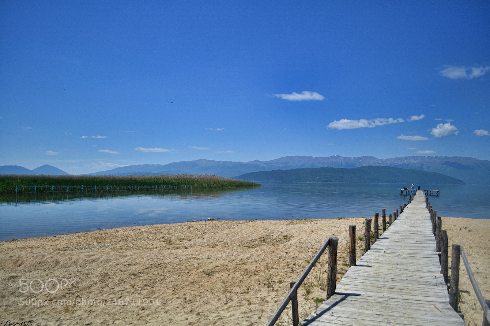 Nikon D3100 sample photo. Road to the center photography