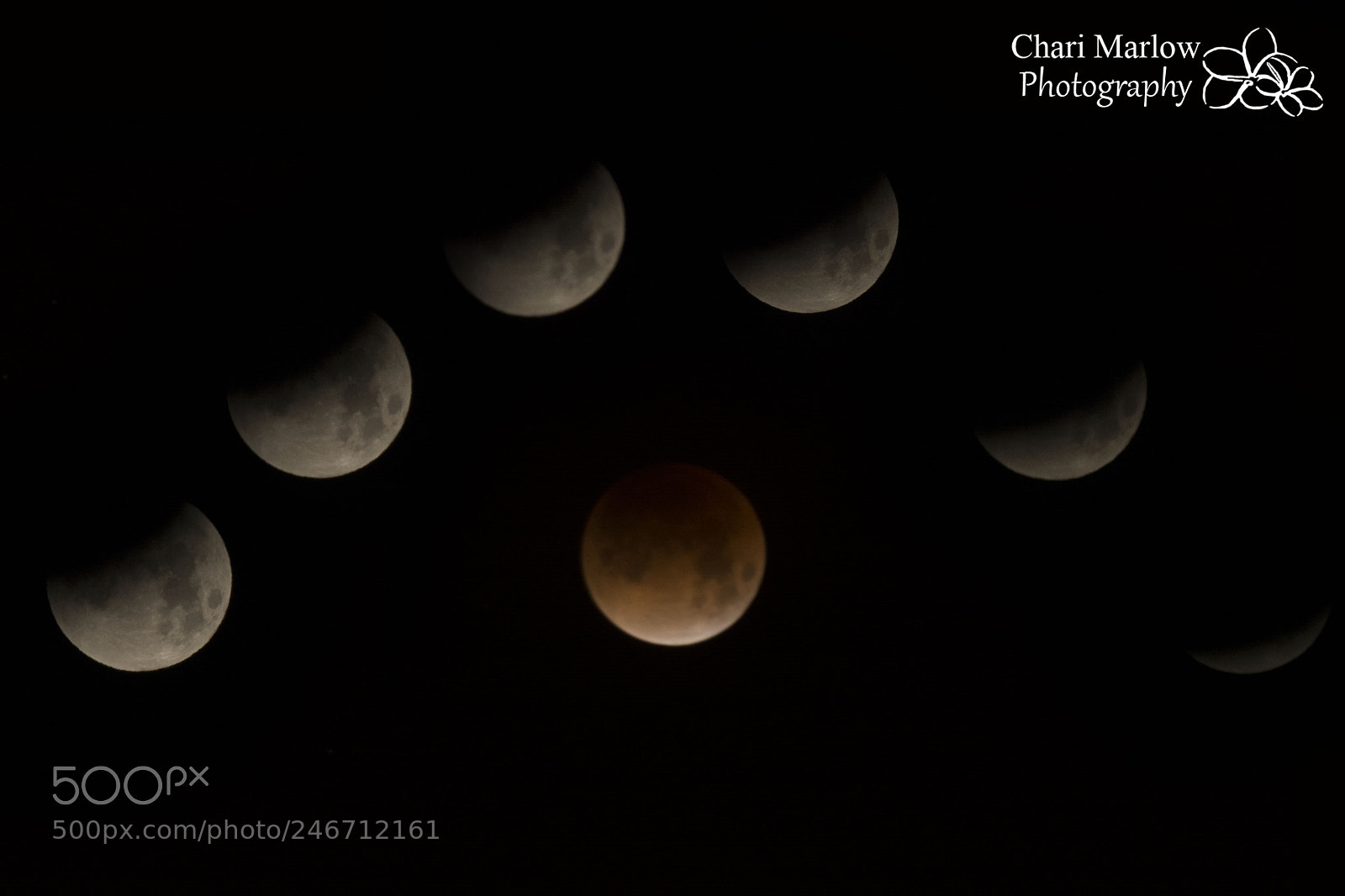 Nikon D5200 sample photo. Moon half circle watermarked photography