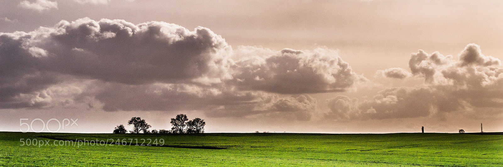 Nikon D3100 sample photo. Dusk wander photography