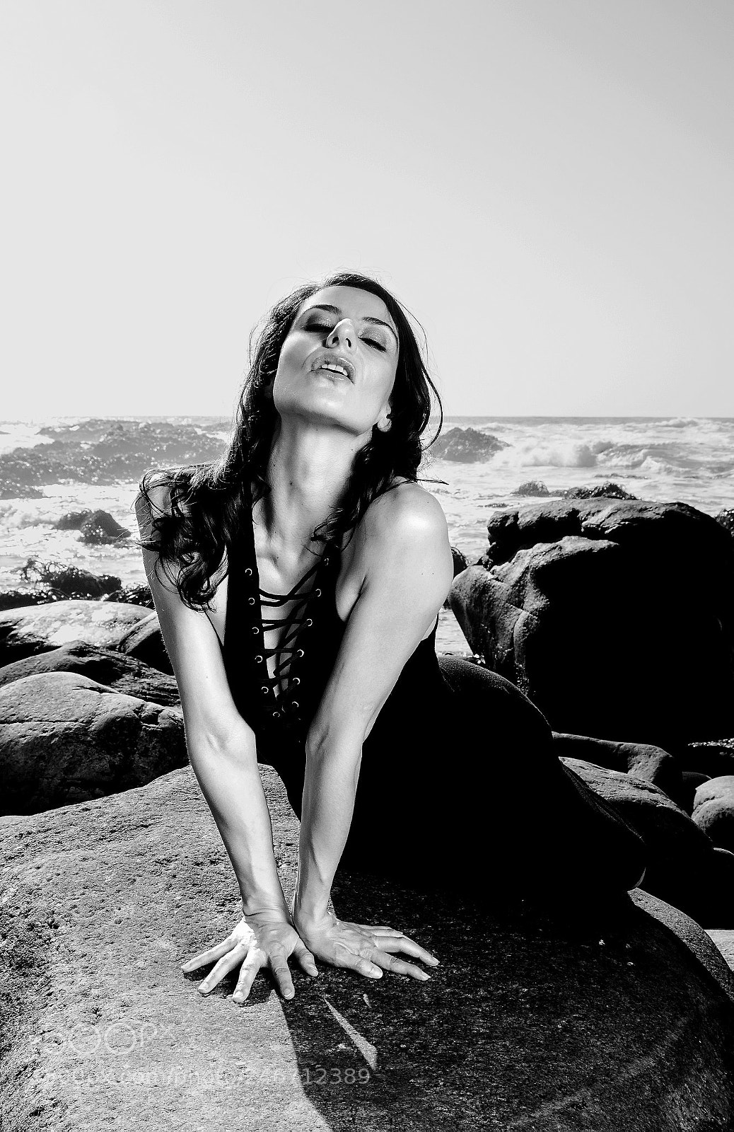 Nikon D7100 sample photo. Black shadows & white roses photography