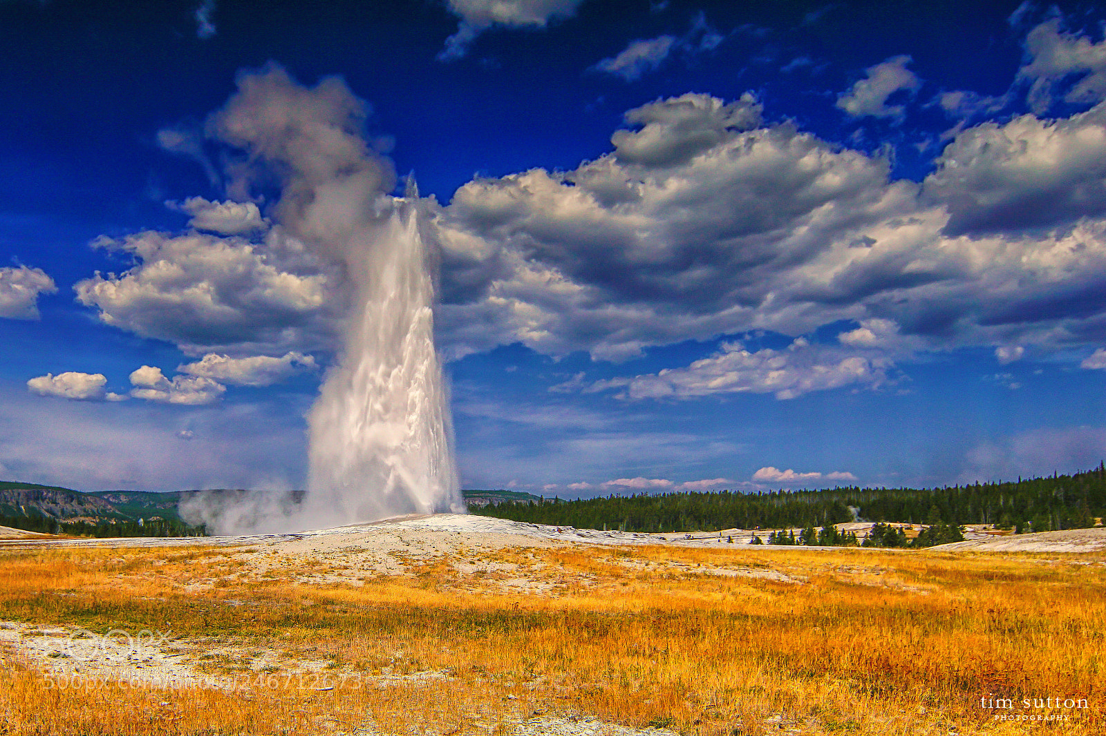Sony ILCA-77M2 sample photo. Old faithful photography