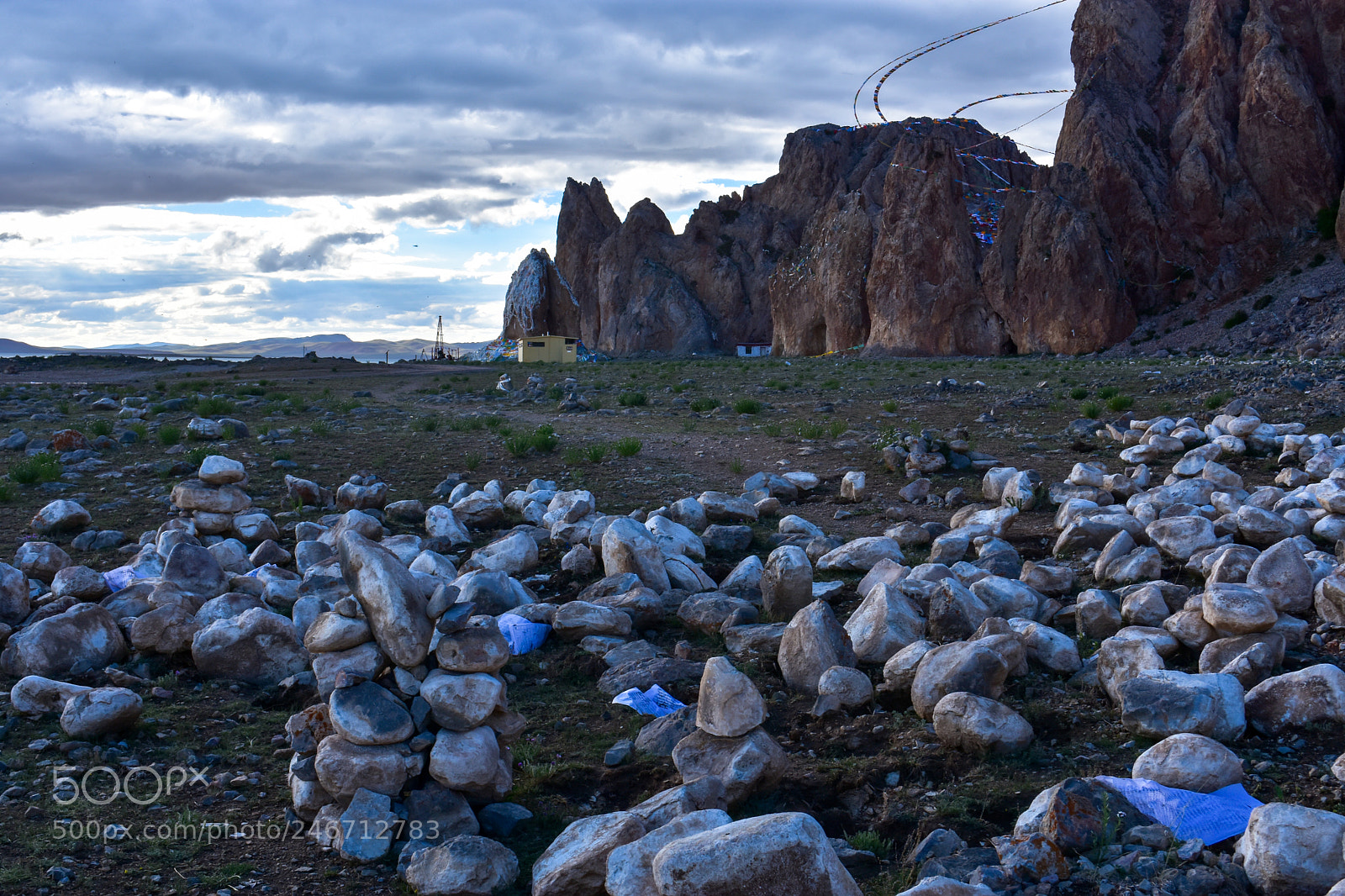 Nikon D7200 sample photo. Look up into distance photography