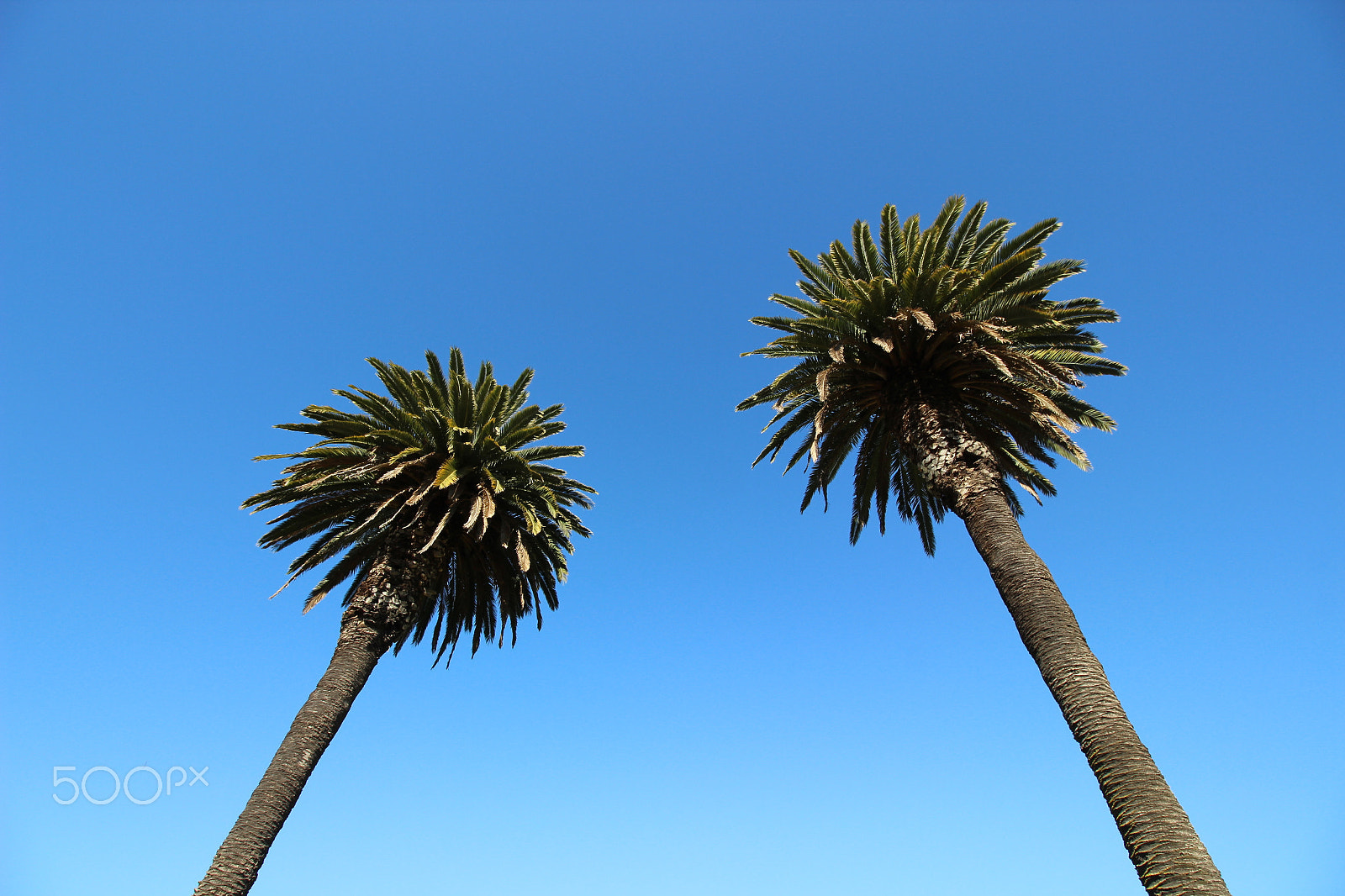 Canon EOS 600D (Rebel EOS T3i / EOS Kiss X5) sample photo. Blue sky photography