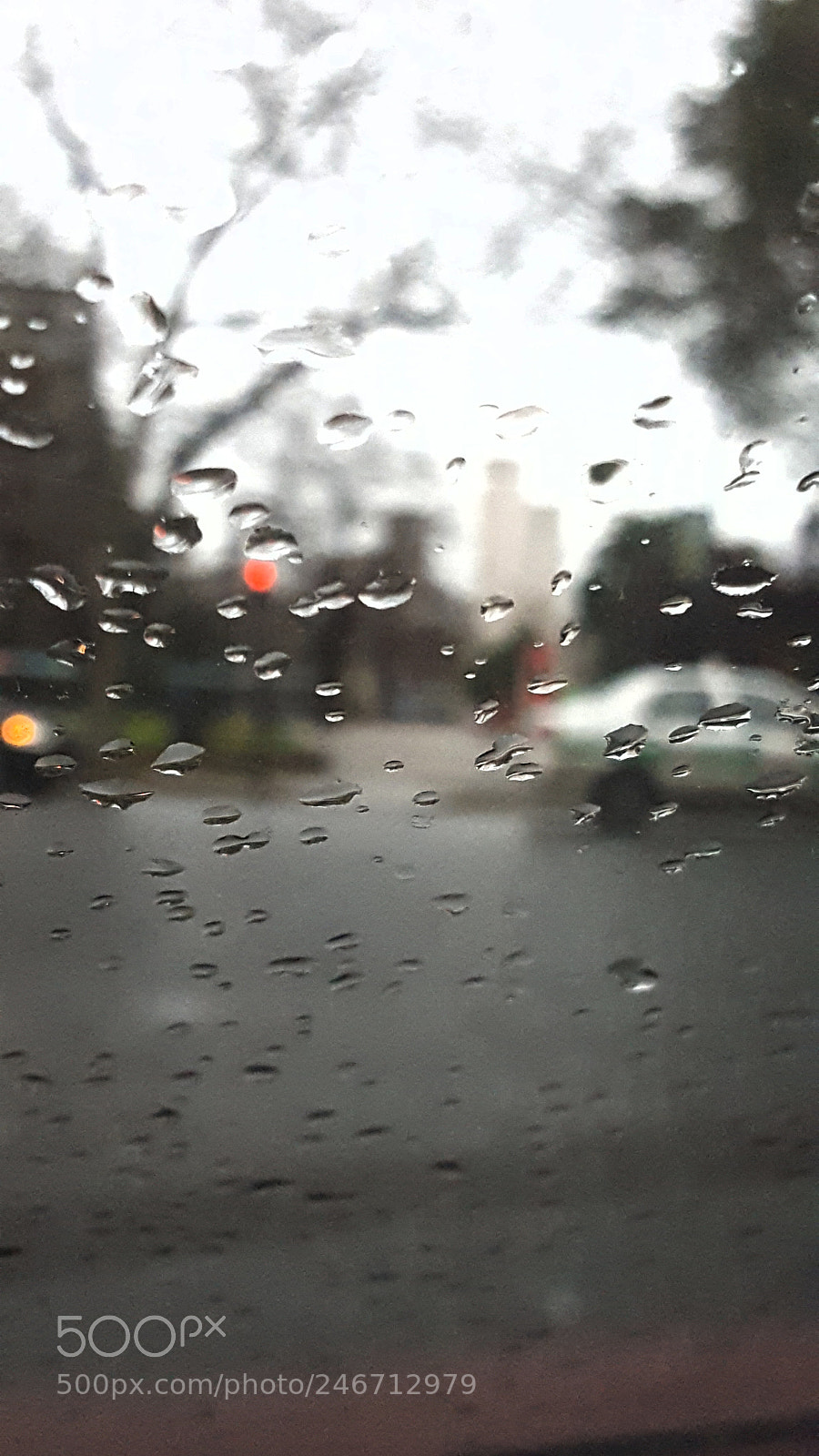 Samsung GALAXY S6 edge sample photo. Rain photography